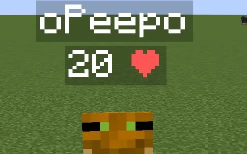 Health Indicator 1.16.5 — скачать дата-пак для Minecraft