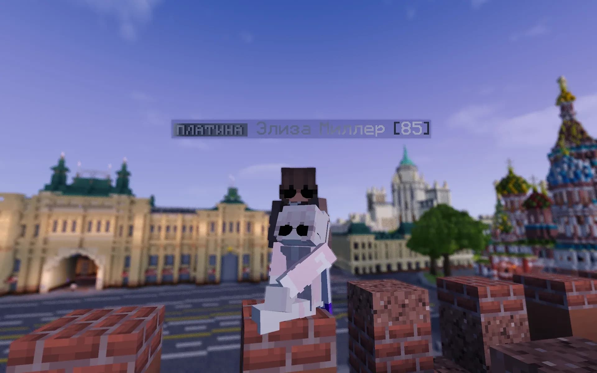 Скриншот MineTown RP 7