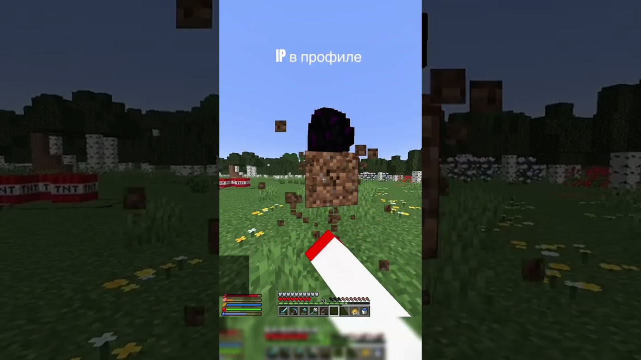 Майнкрафт 2.0