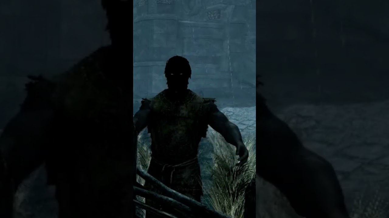 Каждый член гильдии  в один момент на SkyrimRolePlay