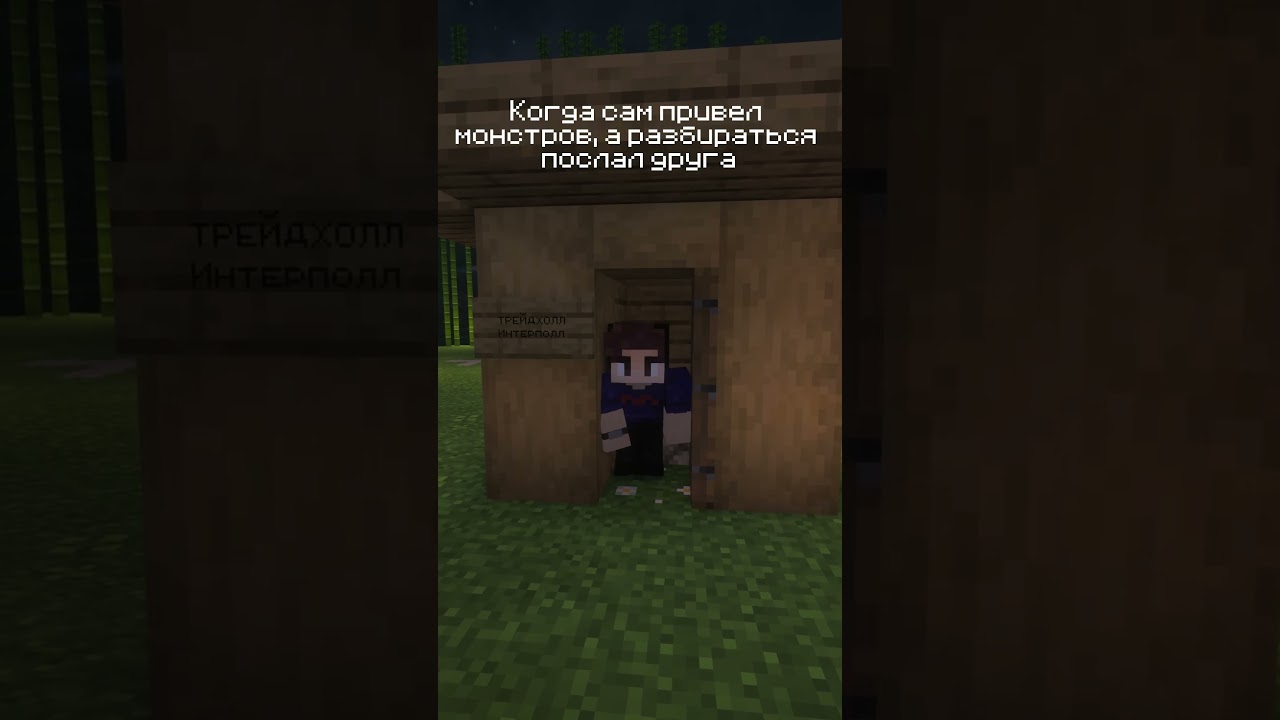 Ссылка на сервер в шапке профиля! #ванильныйсервер #minecraft #galus #мем